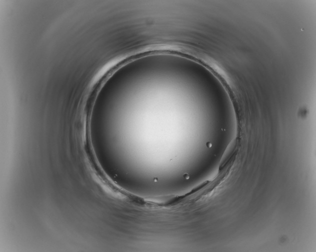 X0000091971127200709131332