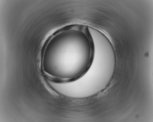 X0000091971128200709131332