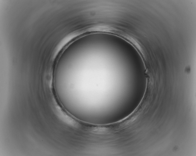 X0000091971131200709131332