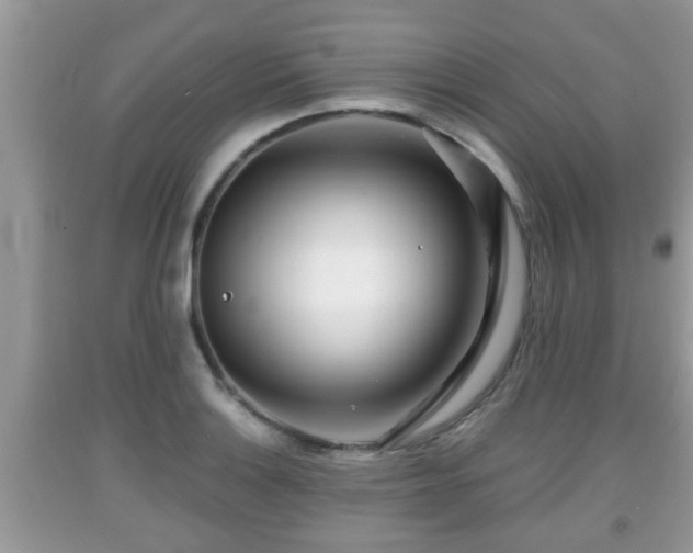 X0000091971132200709131332