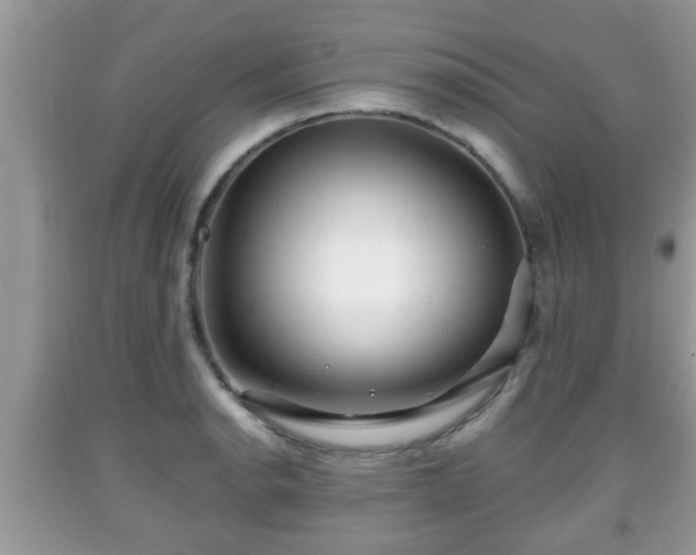 X0000091971134200709131332