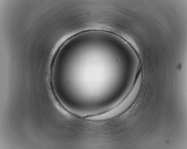 X0000091971136200709131332