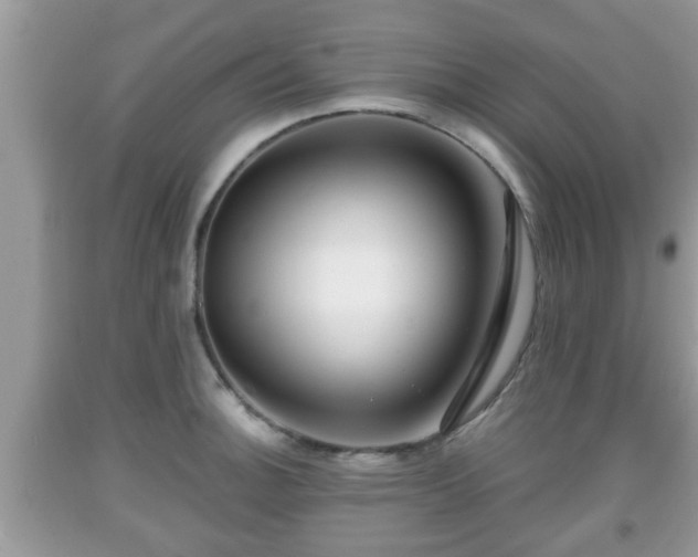 X0000091971140200709131332