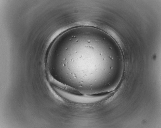 X0000091971141200709131332