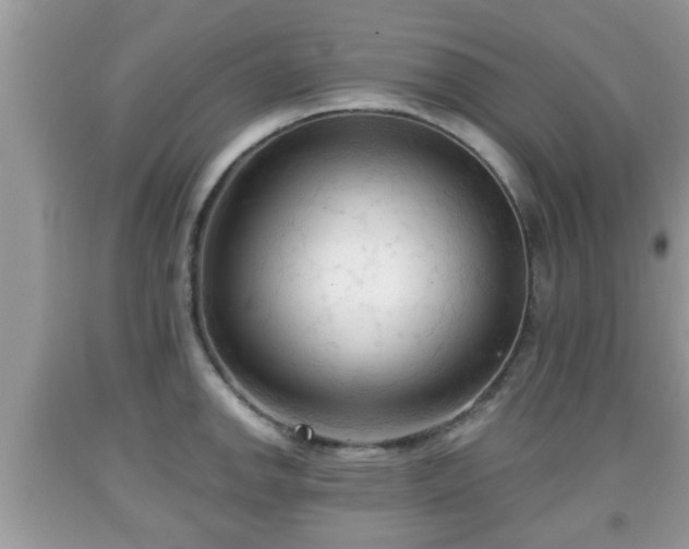X0000091971142200709131332