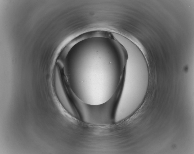 X0000091971144200709131332