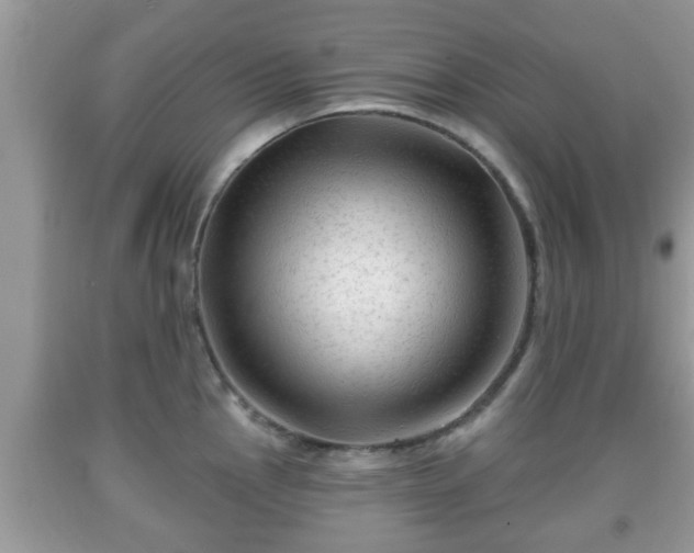 X0000091971145200709131332