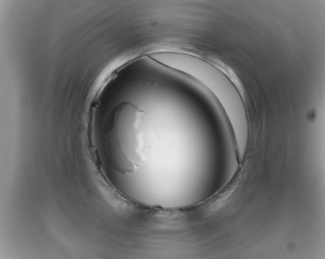 X0000091971146200709131332