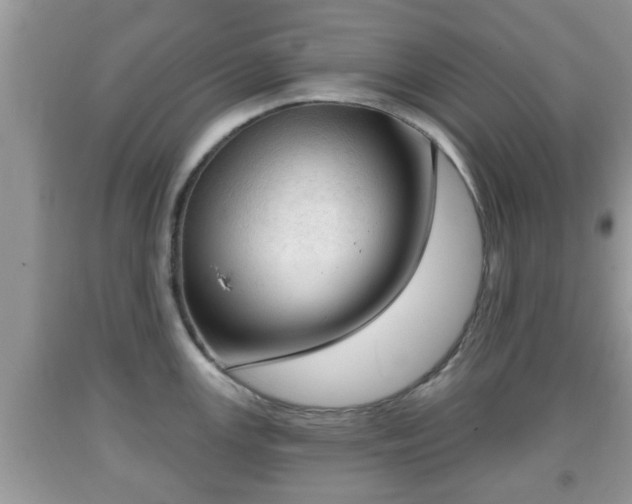 X0000091971147200709131332