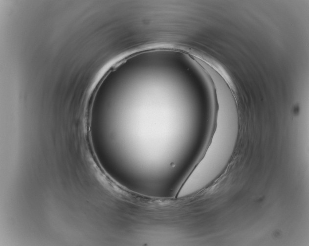 X0000091971148200709131332