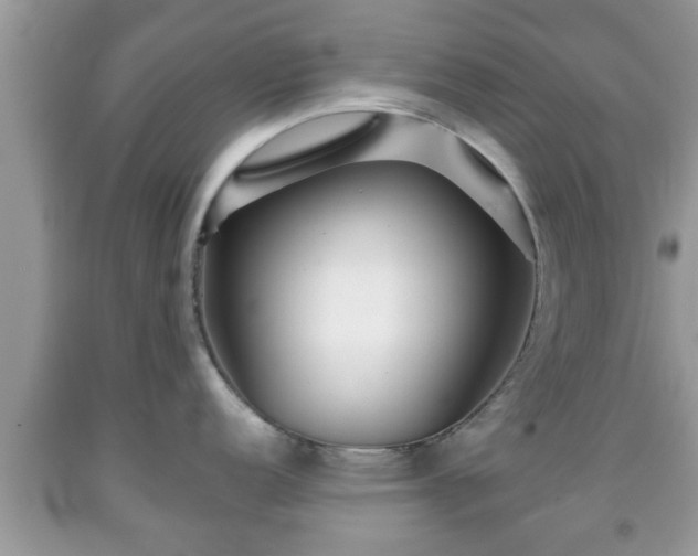 X0000091971152200709131333