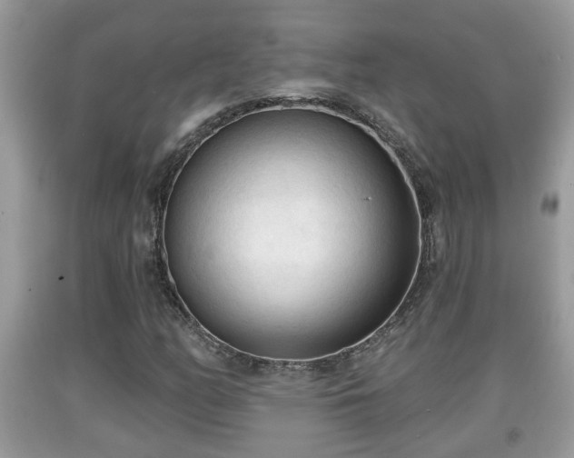 X0000091971158200709131332