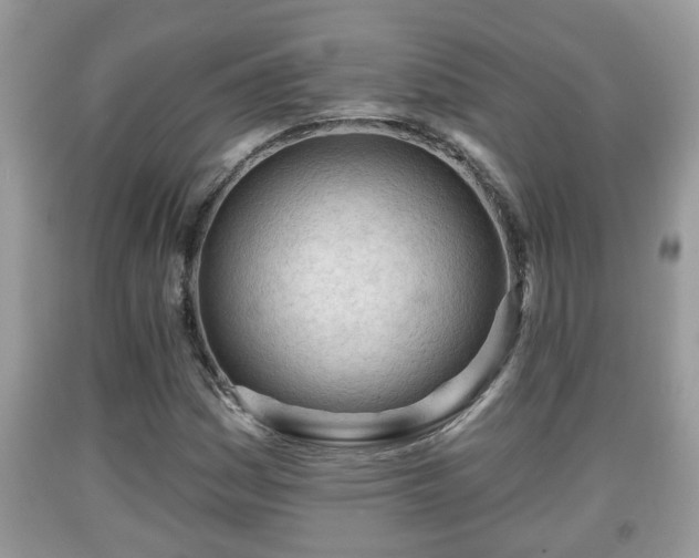 X0000091971161200709131332