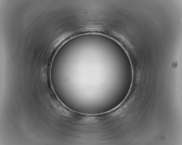 X0000091971162200709131332