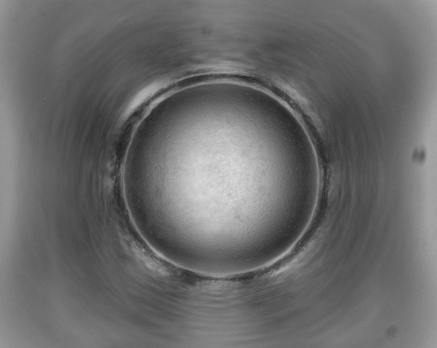 X0000091971163200709131332