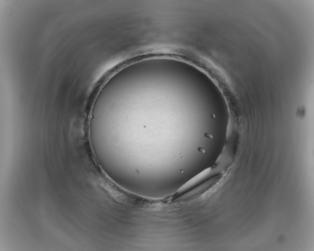 X0000091971166200709131332