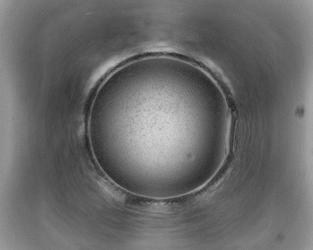 X0000091971167200709131332