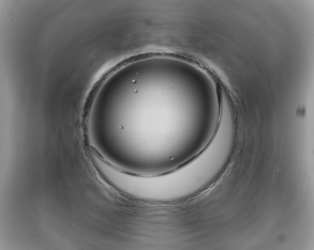 X0000091971168200709131332