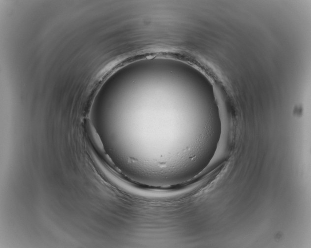 X0000091971169200709131332