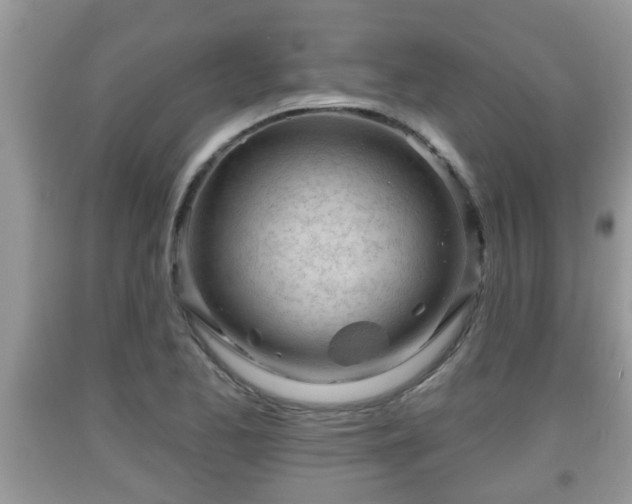 X0000091971173200709131332