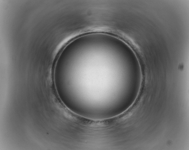 X0000091971174200709131332