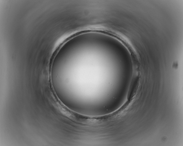 X0000091971176200709131332