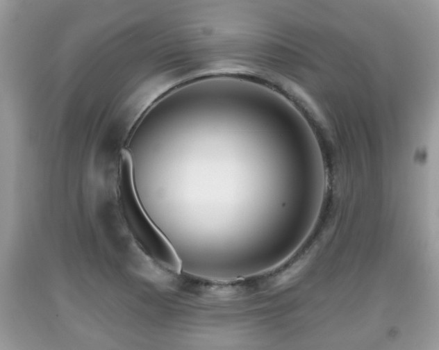 X0000091971177200709131332