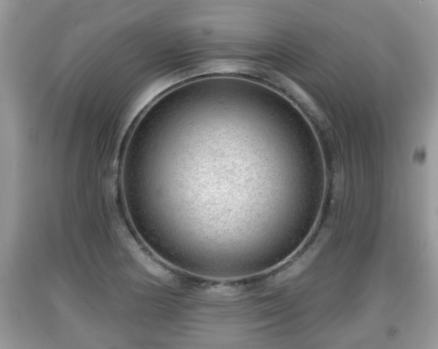 X0000091971178200709131332