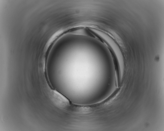 X0000091971180200709131332
