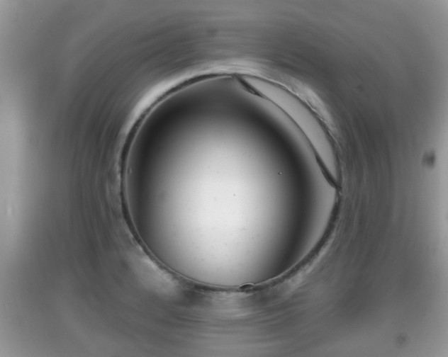X0000091971184200709131332