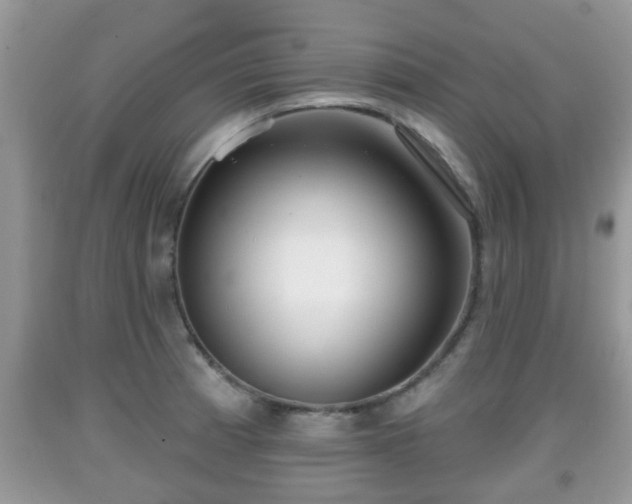 X0000091971185200709131332