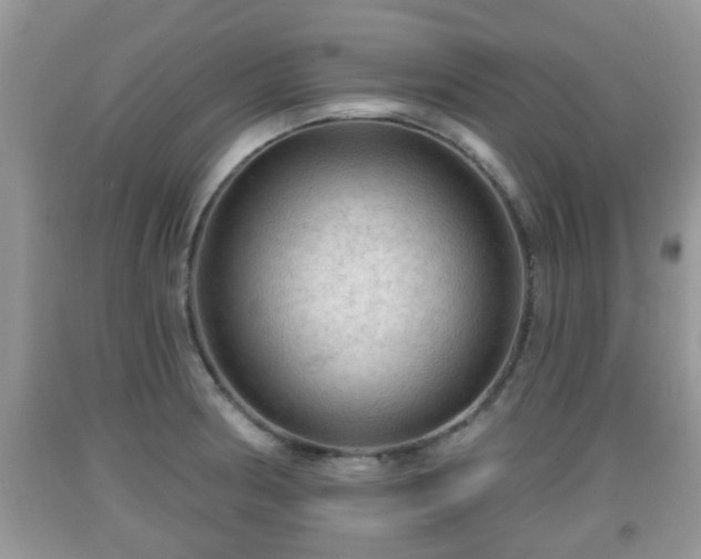 X0000091971186200709131331