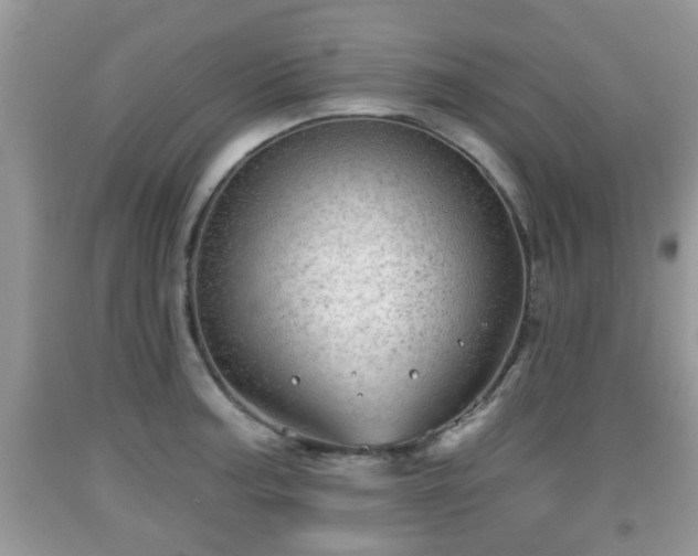 X0000091971187200709131331