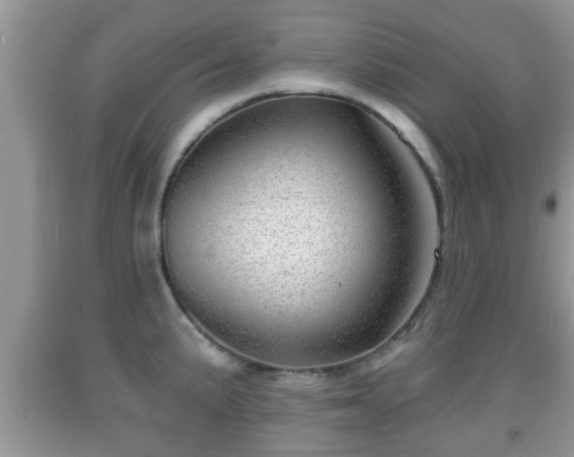 X0000091971191200709131331
