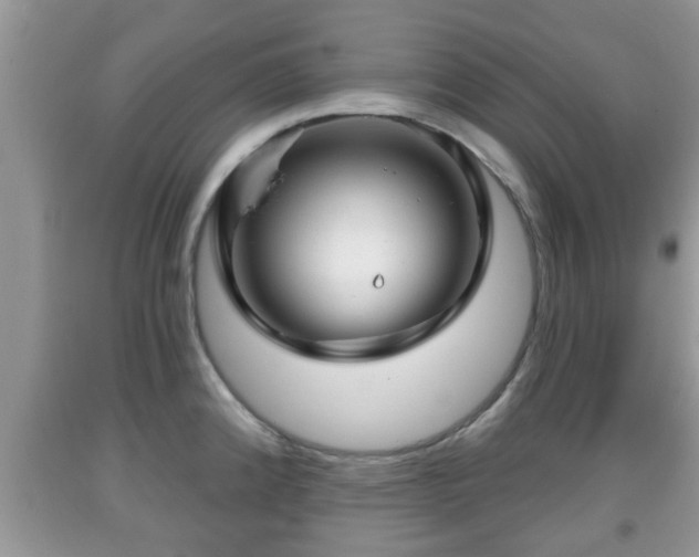 X0000091971192200709131331