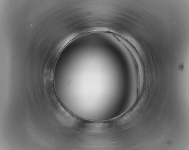 X0000091971193200709131331