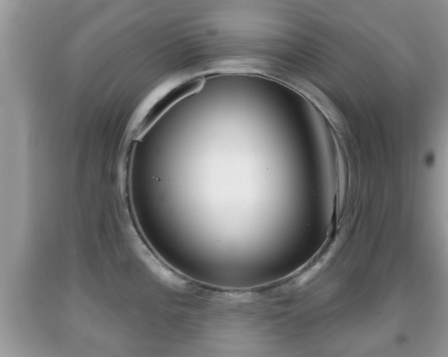 X0000091971196200709131331