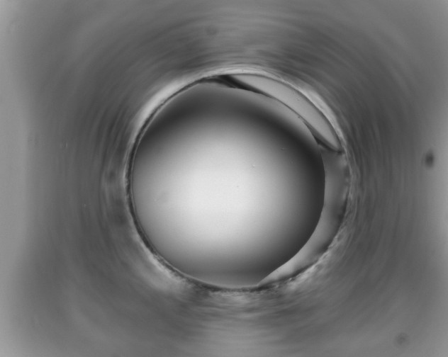 X0000091971197200709131331