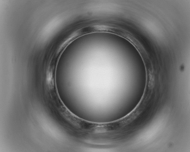 X0000091971198200709131331
