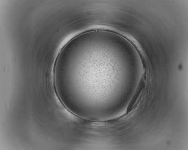 X0000091971199200709131331