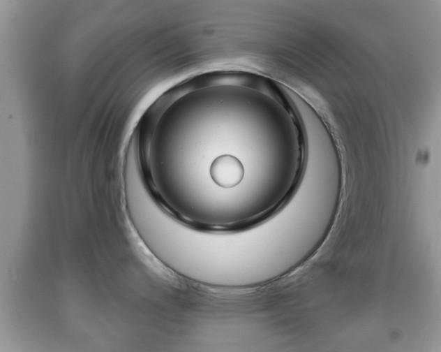 X0000091971200200709131331