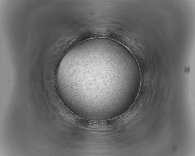 X0000091971201200709131331