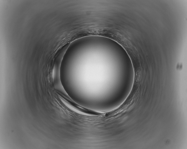 X0000091971202200709131331