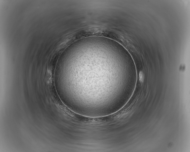 X0000091971203200709131331