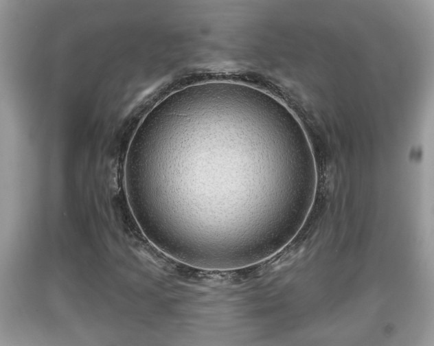 X0000091971205200709131331