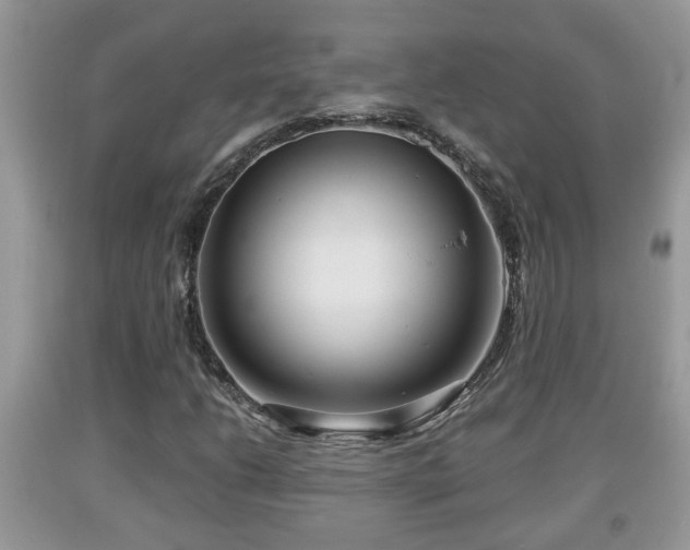X0000091971206200709131331