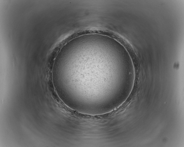 X0000091971207200709131331