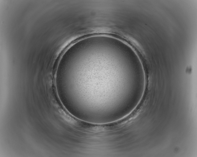 X0000091971212200709131331