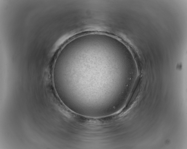 X0000091971215200709131331