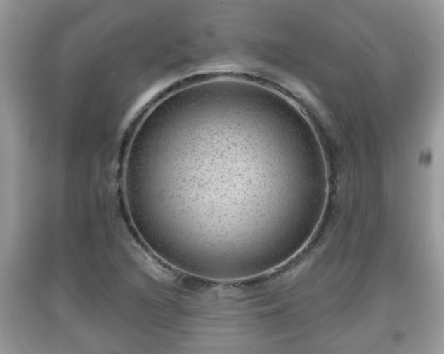 X0000091971216200709131331